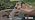 Maverick PT-100 Pro-Temp Commercial Smoker BBQ Probe Meat Thermometer, 5-Inch, Red - Image 6