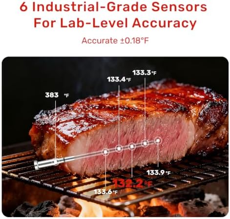 Wireless Meat Thermometer, WiFi & Bluetooth, 2 Probes - Image 3