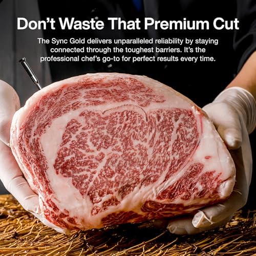 Typhur Sync Gold Wireless WiFi Meat Thermometer, 2 Slim Probes, Smart Base - Image 3
