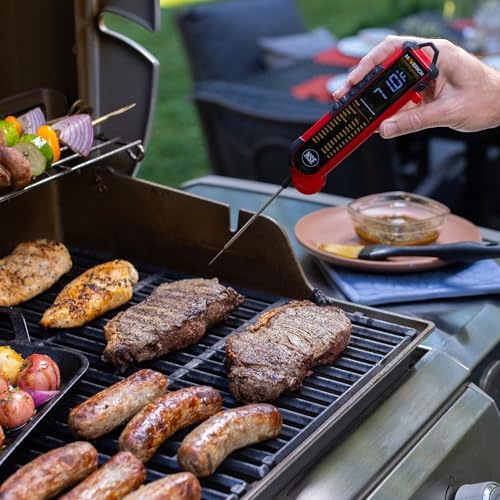 Maverick PT-100 Pro-Temp Commercial Smoker BBQ Probe Meat Thermometer, 5-Inch, Red - Image 2