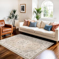 3x5 Living Room Area Rugs: Vintage Washable Non-Slip Rug for Bedroom Dining Room Soft Carpet for Nursery Kitchen Home Office Durable & Easy-Clean Design Perfect for Homes with Cats & Dogs(3x5 Beige) by HYHAOYUNLAI