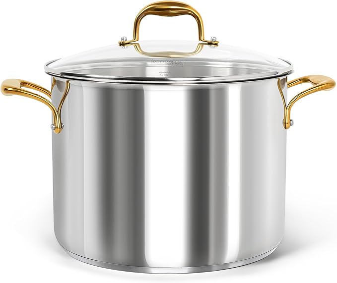 MICHELANGELO Stainless Steel Stock Pot by Michelangelo