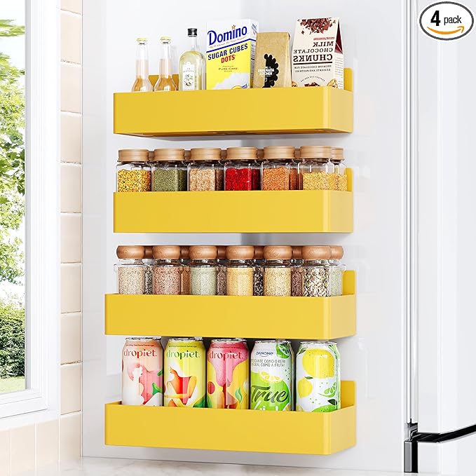 Mystozer Magnetic Spice Rack for Refrigerator, Kitchen Organizer and Storage by Mystozer