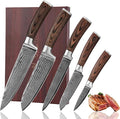 Wakoli EDIB 5-Piece Damascus Knife Set, Professional Kitchen Knives made of by Wakoli